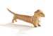 SMALL GOLD PAINTED DACHSHUND